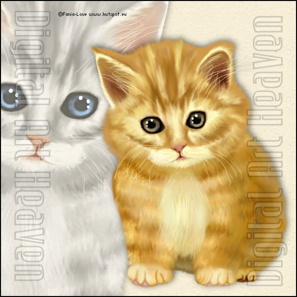 FaniaLove-KittyCat