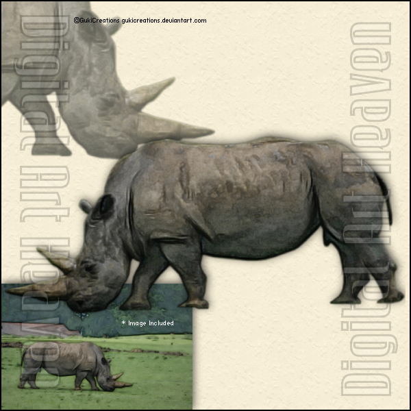 GC-Rhinoceros