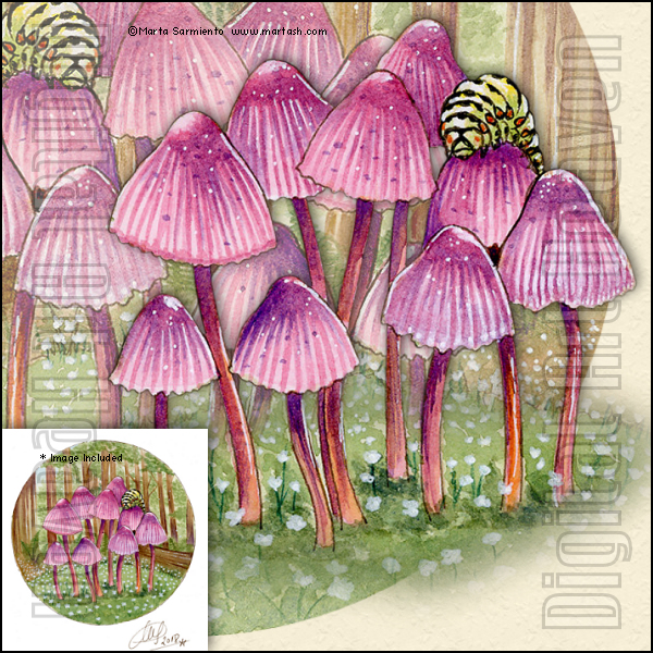 MartaSarmiento-Mushrooms