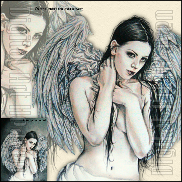 SherinMustafa-Angel
